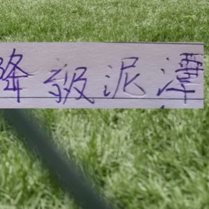 申花能否摆脱降级泥潭！ 前5轮！成绩很重要