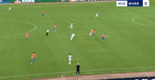 1753625298578008085.gif IMG_7071.gif